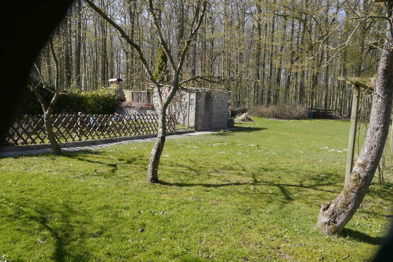 Wohnung 1 Ostseebad Nienhagen Kültér fotó