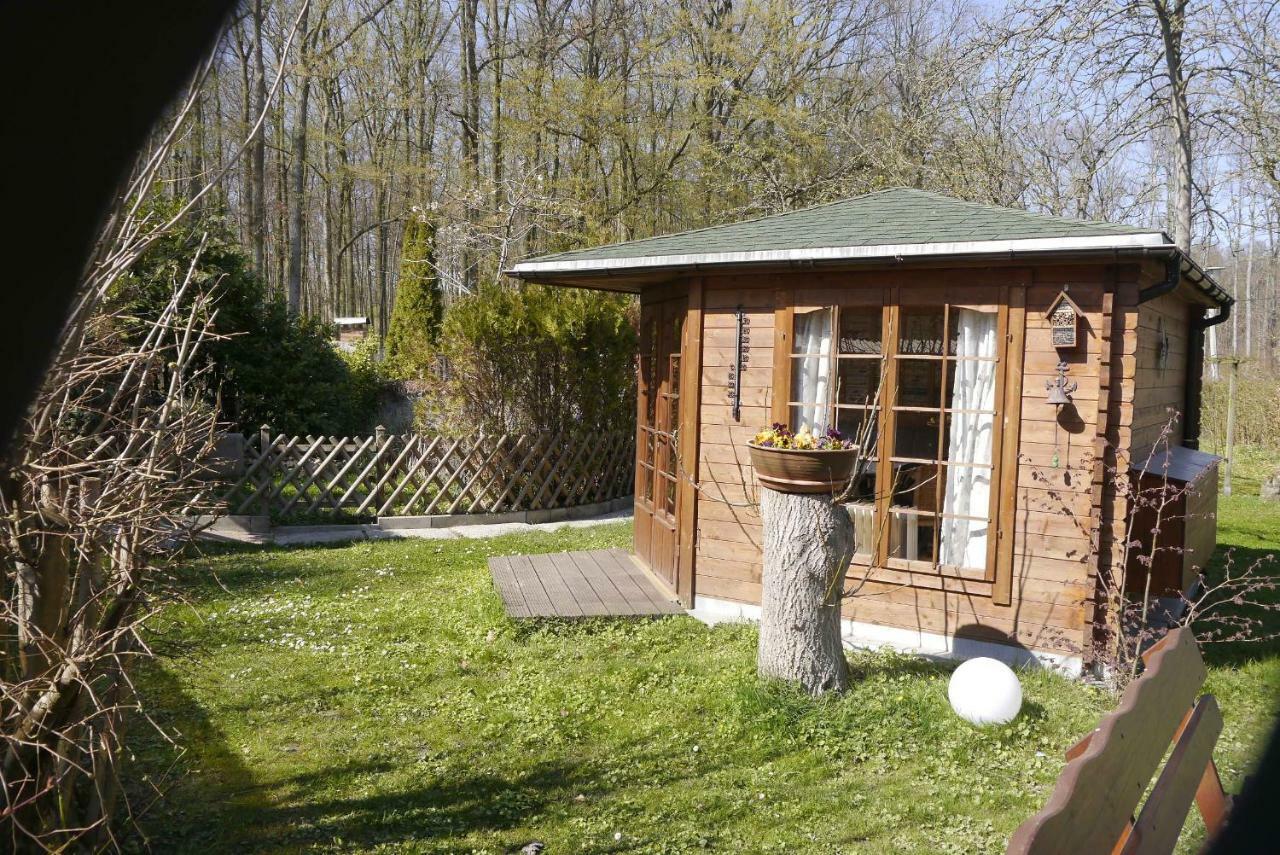 Wohnung 1 Ostseebad Nienhagen Kültér fotó